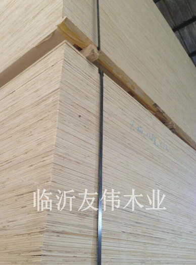 異形托盤板不可貌相，發(fā)展前景不可限量